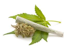 Ganja 50g